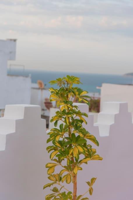Dar Louban House In Tangier Kasbah Apartment Ngoại thất bức ảnh